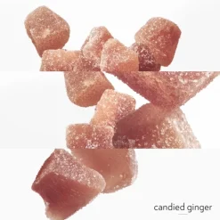 Femme HERMÈS Eau De Parfum|Twilly d'Hermès Eau Ginger                Eau de Parfum