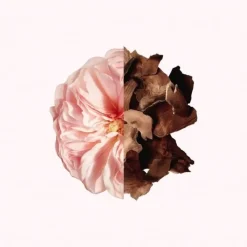 Femme GIVENCHY Gamme Complémentaire Parfumée|Irresistible                Parfum Cheveux