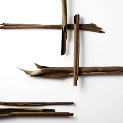 Homme Issey Miyake Eau De Parfum|Wood&Wood                Eau de Parfum Intense