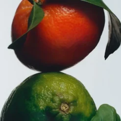 Jo Malone Parfum Mixte|Lime Basil & Mandarin                Cologne