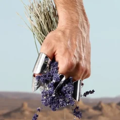 Homme Dolce&Gabbana Eau De Toilette|K by                Eau de Toilette