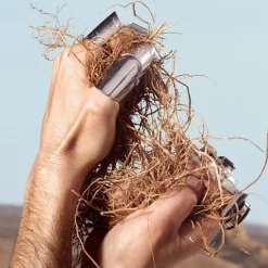 Homme Dolce&Gabbana Eau De Toilette|K by                Eau de Toilette