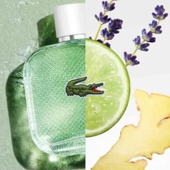 Homme LACOSTE Eau De Toilette|L.12.12 Blanc Eau Fraîche                Eau de Toilette