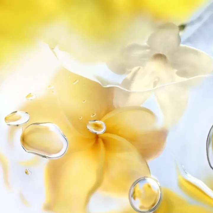 Femme LANCÔME Eau De Toilette|Ô ZENITH Eau de Toilette