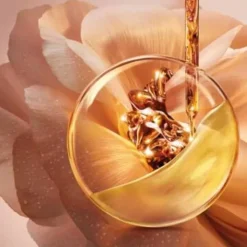 LANCÔME Soin De Nuit|Absolue                Crème Riche Régénérante Illuminatrice aux Grands Extraits de Rose - Recharge