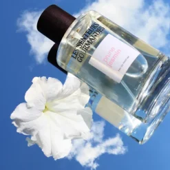 Les Senteurs Gourmandes Parfum Naturel & Eco-Responsable|Prune Jasmin                Eau de Parfum