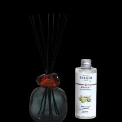 Maison Berger Paris Parfum D'Ambiance & Diffuseur D'Intérieur| Bouquet Parfumé Minéral Noir