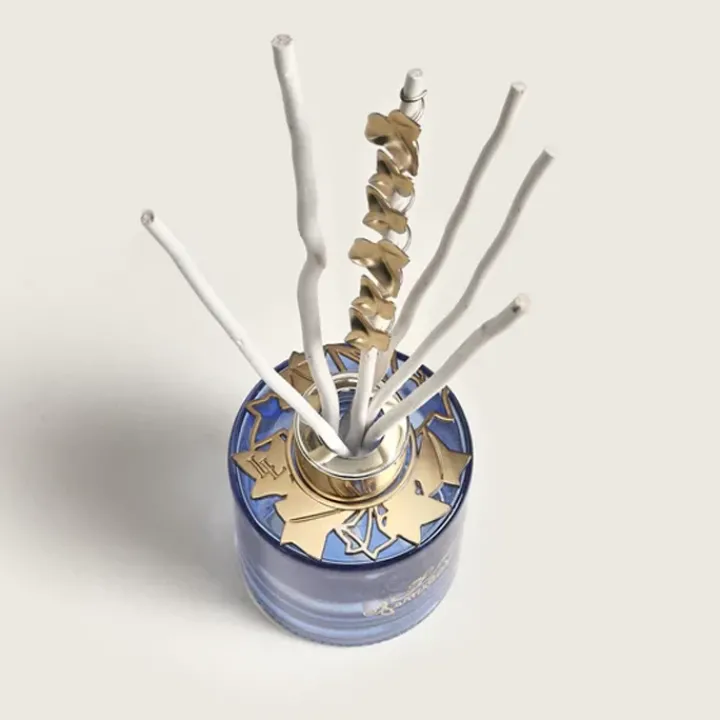 Maison Berger Paris Coffret Maison|Parfum D'Ambiance & Diffuseur D'Intérieur|Lolita Lempicka Bouquet Bijou Parfumé Parme Coffret Parfum d'Intérieur