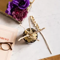 Maison Berger Paris Coffret Maison|Parfum D'Ambiance & Diffuseur D'Intérieur|Lolita Lempicka Bouquet Bijou Parfumé Parme Coffret Parfum d'Intérieur