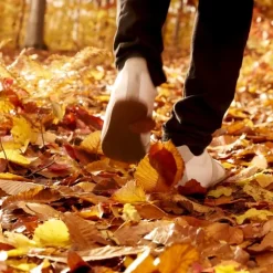 Maison Margiela Parfum Mixte|REPLICA Autumn Vibes                Eau de Toilette