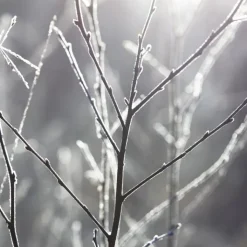 Maison Margiela Bougie Parfumée|REPLICA By The Fireplace                 Bougie Parfumée Boisée Épicée