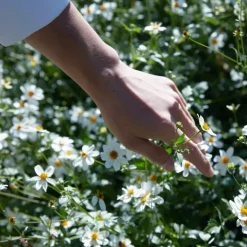 Maison Margiela Bougie Parfumée|REPLICA Springtime in a Park                Bougie Parfumée Florale Fraîche