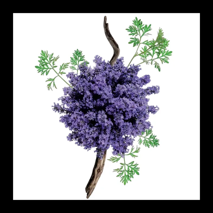 Homme Mauboussin Eau De Parfum|pour Lui Eau de Parfum