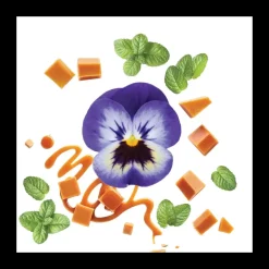 Homme Mauboussin Eau De Parfum|pour Lui in Black Eau de Parfum