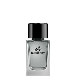 Homme Burberry Eau De Toilette|Mr.                Eau de Toilette