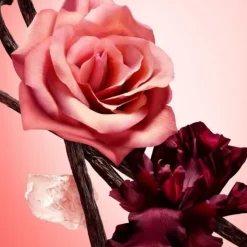 NARCISO RODRIGUEZ Parfum Recharge|All of Me                Eau de Parfum Intense - Flacon Recharge