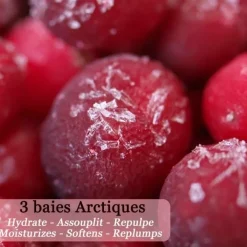 Polaar Soin Hydratant, Nourrissant, Anti-Âge|La Véritable Crème de Laponie Aux 3 baies Arctiques                Lait Corps Hydratant