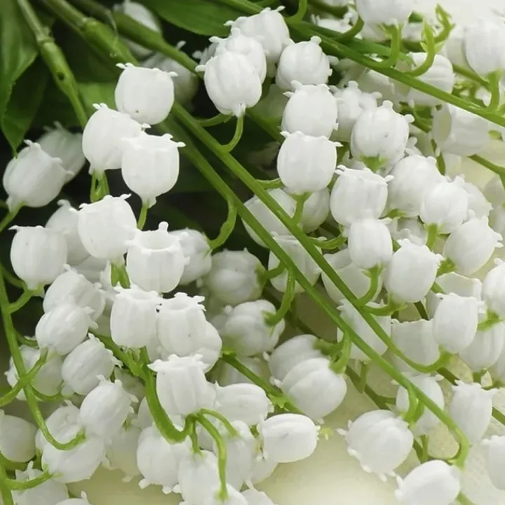 Femme Ralph Lauren Eau De Toilette|Big Pony Women Eau de Toilette