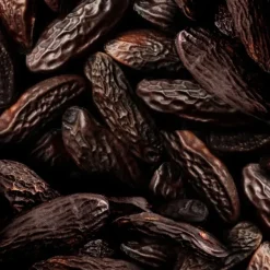 Femme Ralph Lauren Eau De Toilette|Big Pony Women Eau de Toilette