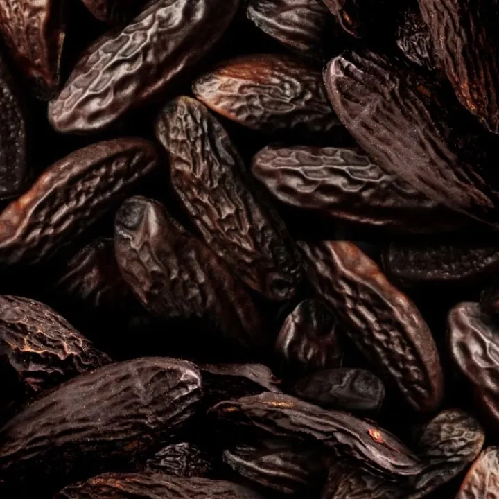 Femme Ralph Lauren Eau De Toilette|Big Pony Women Eau de Toilette