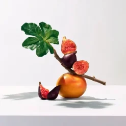 Roger&Gallet Parfum Naturel & Eco-Responsable|Fleur de Figuier                Eau Parfumée Bienfaisante