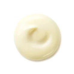 SHISEIDO Soin De Jour|Benefiance                Crème Lissante Anti-Rides SPF 25