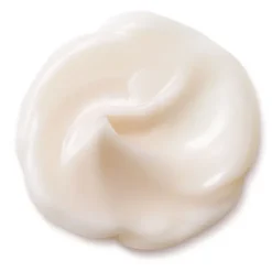 SHISEIDO Soin Jour & Nuit|Bio-Performance                Crème Super Revitalisante Absolue