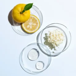 SHISEIDO Soin Jour & Nuit|Soin De Jour|Eudermine                Essence Activatrice Revitalisante - Recharge