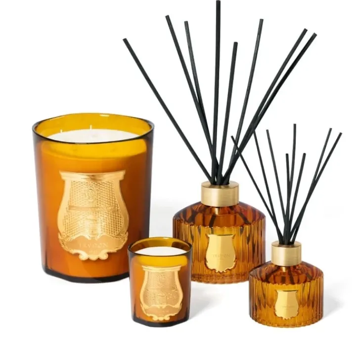 Trudon Parfum D'Ambiance & Diffuseur D'Intérieur|Altaïr La Recharge Recharge Diffuseur