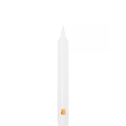 Trudon Bougie Parfumée|Angelo - Orange et Cannelle Bougies Parfumées de la Madeleine