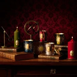 Trudon Bougie Parfumée|Astral Fir - Sapin de Noël                Bougie Intermède