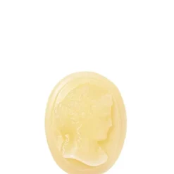 Trudon Parfum D'Ambiance & Diffuseur D'Intérieur|Camée Ernesto                Etui de 4 Camées