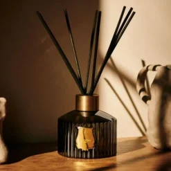 Trudon Parfum D'Ambiance & Diffuseur D'Intérieur|Ernesto                Diffuseur