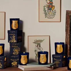 Trudon Bougie Parfumée|Esterel                Bougie Parfumée