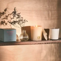 Trudon Bougie Parfumée|Les Albâtres Héméra                Recharge Bougie Parfumée