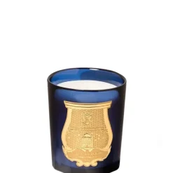 Trudon Bougie Parfumée|Maduraï • Splendeur du Jasmin Indien                Bougie Parfumée