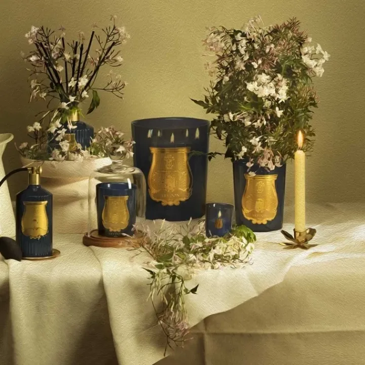 Trudon Parfum D'Ambiance & Diffuseur D'Intérieur|Maduraï Vaporisateur d'Ambiance