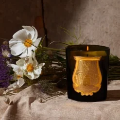 Trudon Bougie Parfumée|Manon                Bougie Parfumée