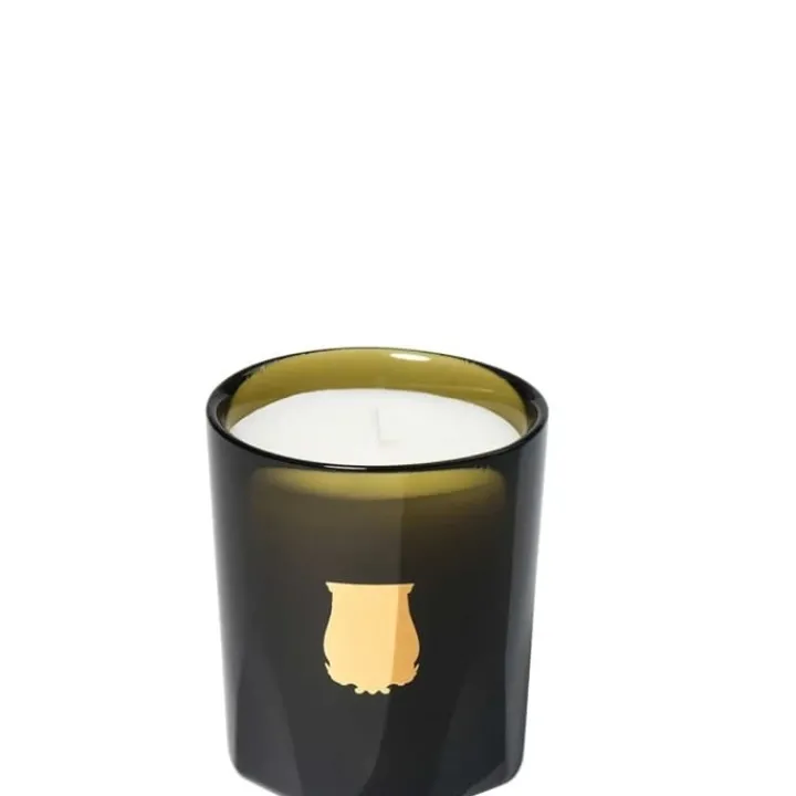 Trudon Bougie Parfumée|Odalisque • Oranger en Fleur Bougie Parfumée 70 g