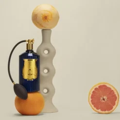 Trudon Parfum D'Ambiance & Diffuseur D'Intérieur|Salta                Vaporisateur d'Ambiance