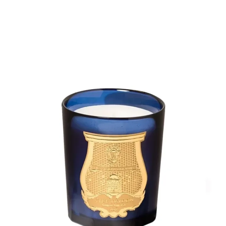 Trudon Bougie Parfumée|Tadine • Sensualité du Santal Bougie Parfumée