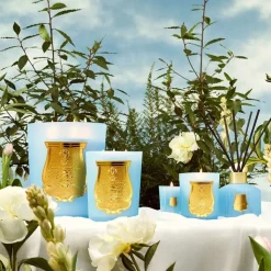 Trudon Bougie Parfumée|Versailles                Bougie Intermède Parfumée