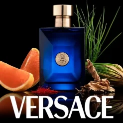 Homme Versace Eau De Toilette|Dylan Blue                Eau de Toilette