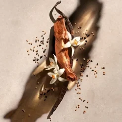 Femme ZADIG&VOLTAIRE Gamme Complémentaire Parfumée|Zadig                Lait Corps